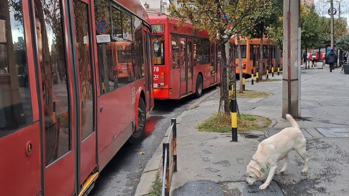 Dvodnevno ukidanje linije 22
